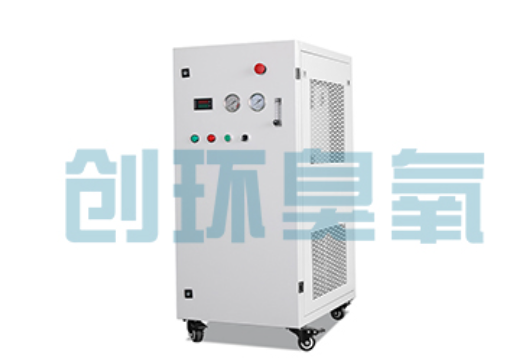 蓟州石斑鱼养殖水质调控完整指南:臭氧发生器配置与操作步骤